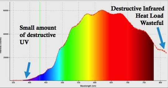 Incandescent CRI 100 bulb